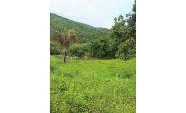 Finca De 11 Fanegadas Para Condominio En Anapoima