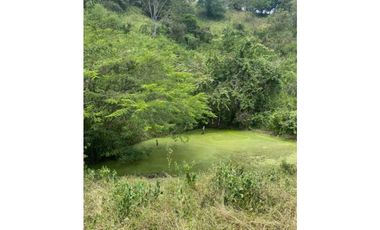 Finca De 11 Fanegadas Para Condominio En Anapoima