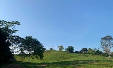 Finca De 11 Fanegadas Para Condominio En Anapoima