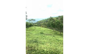Finca De 11 Fanegadas Para Condominio En Anapoima