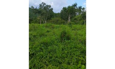 Finca De 11 Fanegadas Para Condominio En Anapoima