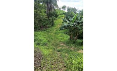 Finca De 11 Fanegadas Para Condominio En Anapoima