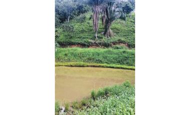 Finca De 11 Fanegadas Para Condominio En Anapoima