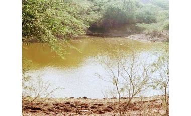 Finca De 11 Fanegadas Para Condominio En Anapoima