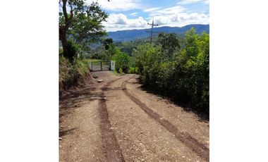 Finca De 11 Fanegadas Para Condominio En Anapoima