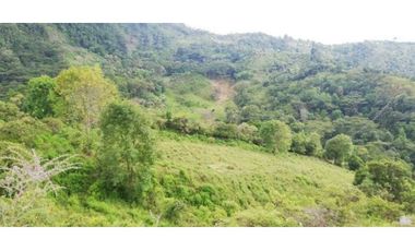 Finca De 11 Fanegadas Para Condominio En Anapoima