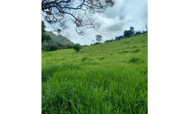 Finca De 11 Fanegadas Para Condominio En Anapoima