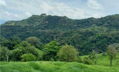 Finca De 11 Fanegadas Para Condominio En Anapoima