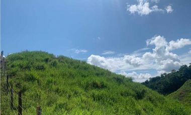 Finca De 11 Fanegadas Para Condominio En Anapoima