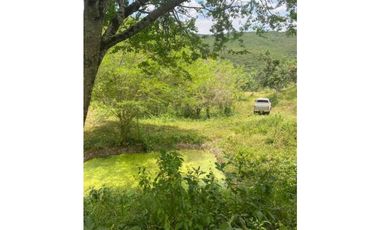 Finca De 11 Fanegadas Para Condominio En Anapoima