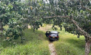 Casa Campestre A 15 Minutos Del Centro De La Mesa