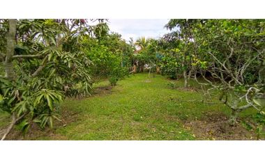 Casa En Miralomas De Holanda En La Mesa Cundinamarca