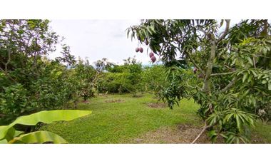 Casa En Miralomas De Holanda En La Mesa Cundinamarca