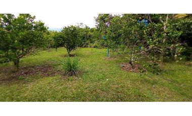 Casa En Miralomas De Holanda En La Mesa Cundinamarca