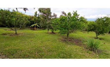Casa En Miralomas De Holanda En La Mesa Cundinamarca