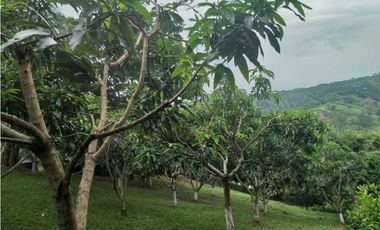 Quinta En Condominio Campestre Sobre La Vía Principal