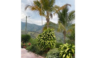 Se vende finca de 30 hectáreas en Gómez Plata