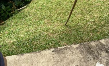 Se vende finca de 30 hectáreas en Gómez Plata