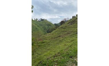 Se vende finca de 30 hectáreas en Gómez Plata