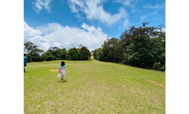 Se vende finca de 30 hectáreas en Gómez Plata