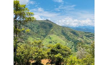 Se vende finca de 30 hectáreas en Gómez Plata
