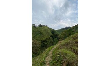 Se vende finca de 30 hectáreas en Gómez Plata