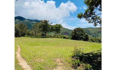 Se vende finca de 30 hectáreas en Gómez Plata