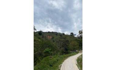 Se vende finca de 30 hectáreas en Gómez Plata