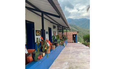 Se vende finca de 30 hectáreas en Gómez Plata