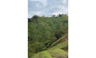 Se vende finca de 30 hectáreas en Gómez Plata