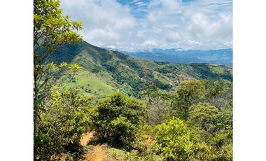 Se vende finca de 30 hectáreas en Gómez Plata