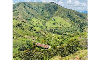 Se vende finca de 30 hectáreas en Gómez Plata