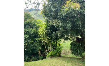 Se vende finca de 30 hectáreas en Gómez Plata