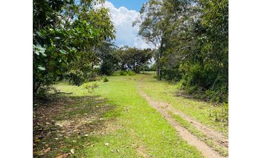 Se vende finca de 30 hectáreas en Gómez Plata