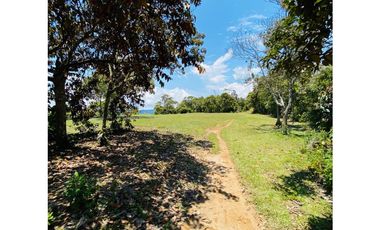 Se vende finca de 30 hectáreas en Gómez Plata
