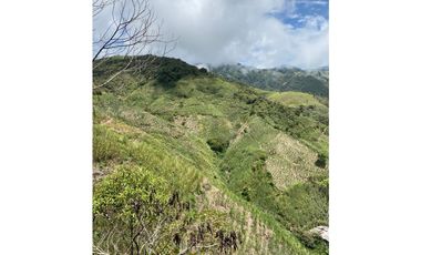 Se vende finca de 30 hectáreas en Gómez Plata