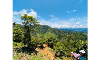 Se vende finca de 30 hectáreas en Gómez Plata