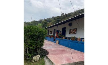 Se vende finca de 30 hectáreas en Gómez Plata