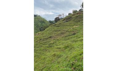 Se vende finca de 30 hectáreas en Gómez Plata