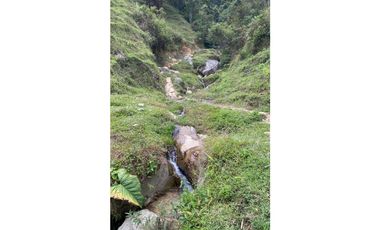 Se vende finca de 30 hectáreas en Gómez Plata