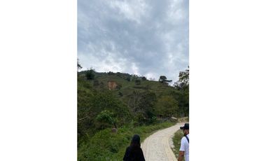 Se vende finca de 30 hectáreas en Gómez Plata