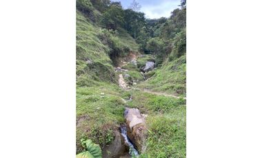 Se vende finca de 30 hectáreas en Gómez Plata