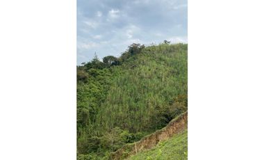 Se vende finca de 30 hectáreas en Gómez Plata