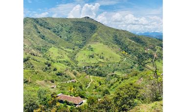 Se vende finca de 30 hectáreas en Gómez Plata