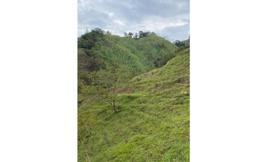 Se vende finca de 30 hectáreas en Gómez Plata