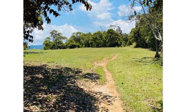 Se vende finca de 30 hectáreas en Gómez Plata