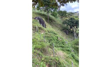 Se vende finca de 30 hectáreas en Gómez Plata