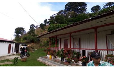 Se Vende Finca Sobre la Vereda Canaan