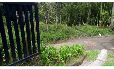 Se Vende Finca Sobre la Vereda Canaan