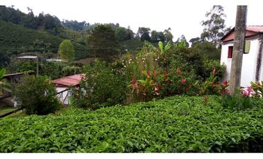 Se Vende Finca Sobre la Vereda Canaan